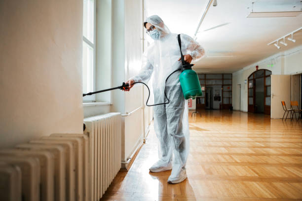 Best Fumigation Services  in Whitmore Lake, MI